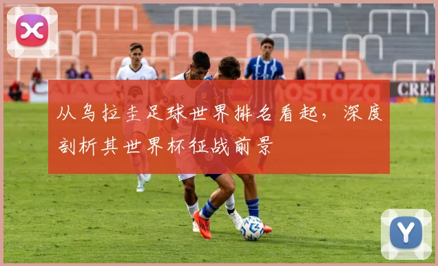 从乌拉圭足球世界排名看起，深度剖析其世界杯征战前景